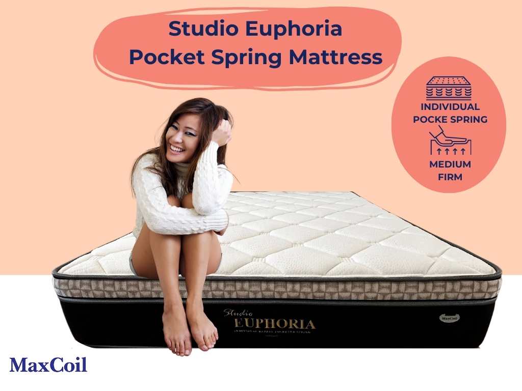 MaxCoil Studio Euphoria with Plush Euro Top Orthopedic Pocket Spring Mattress