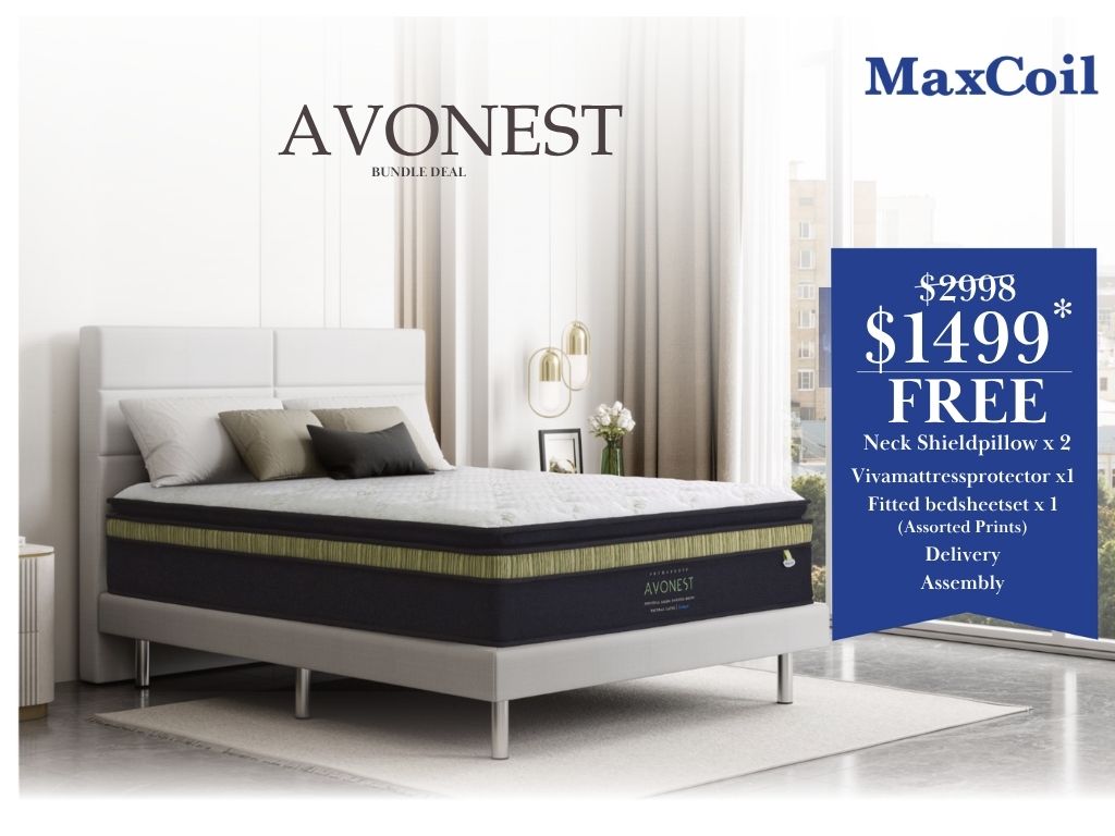 Maxcoil Avanest 14.5" plush top mattress - Sleep Space 