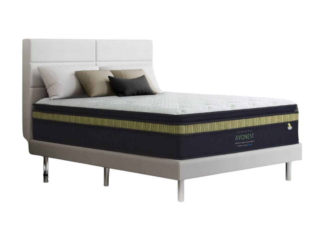 Maxcoil Avanest 14.5" plush top mattress - Sleep Space 