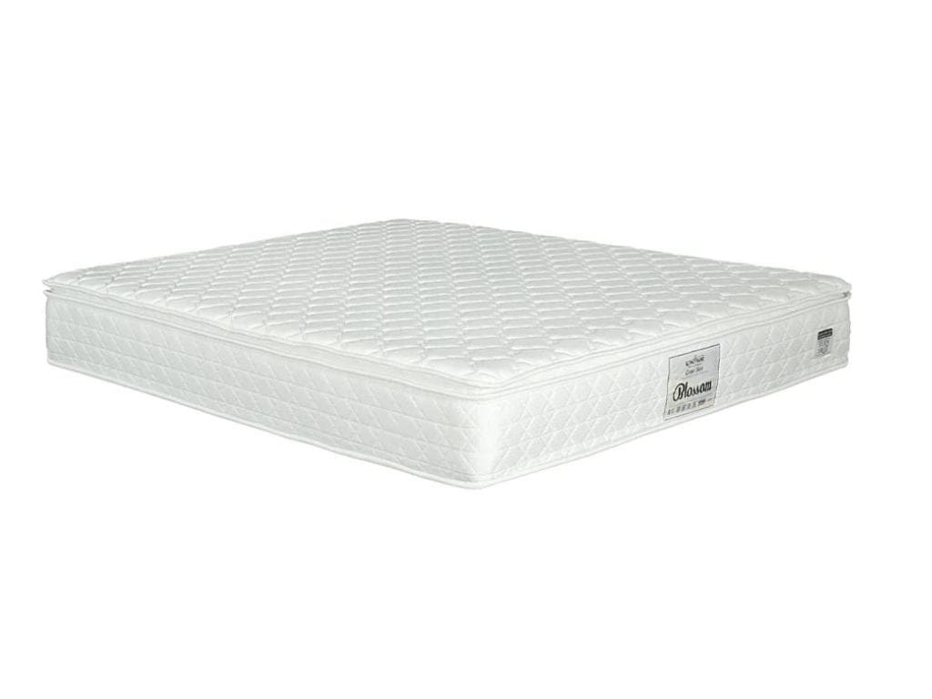 King Koil Ortho Care Blossom Spring Pillow Top Mattress-popular-Sleep Space