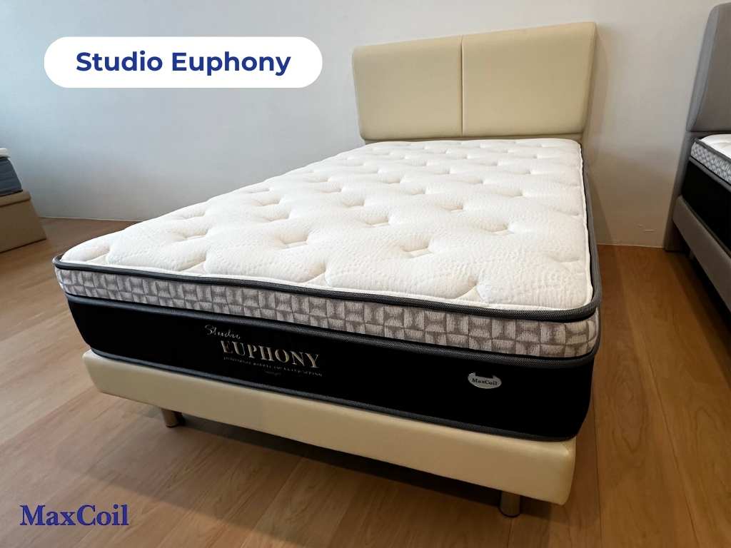 MaxCoil Studio Euphony with Plush Euro Top Pocket Spring Mattress & Bed Bundle