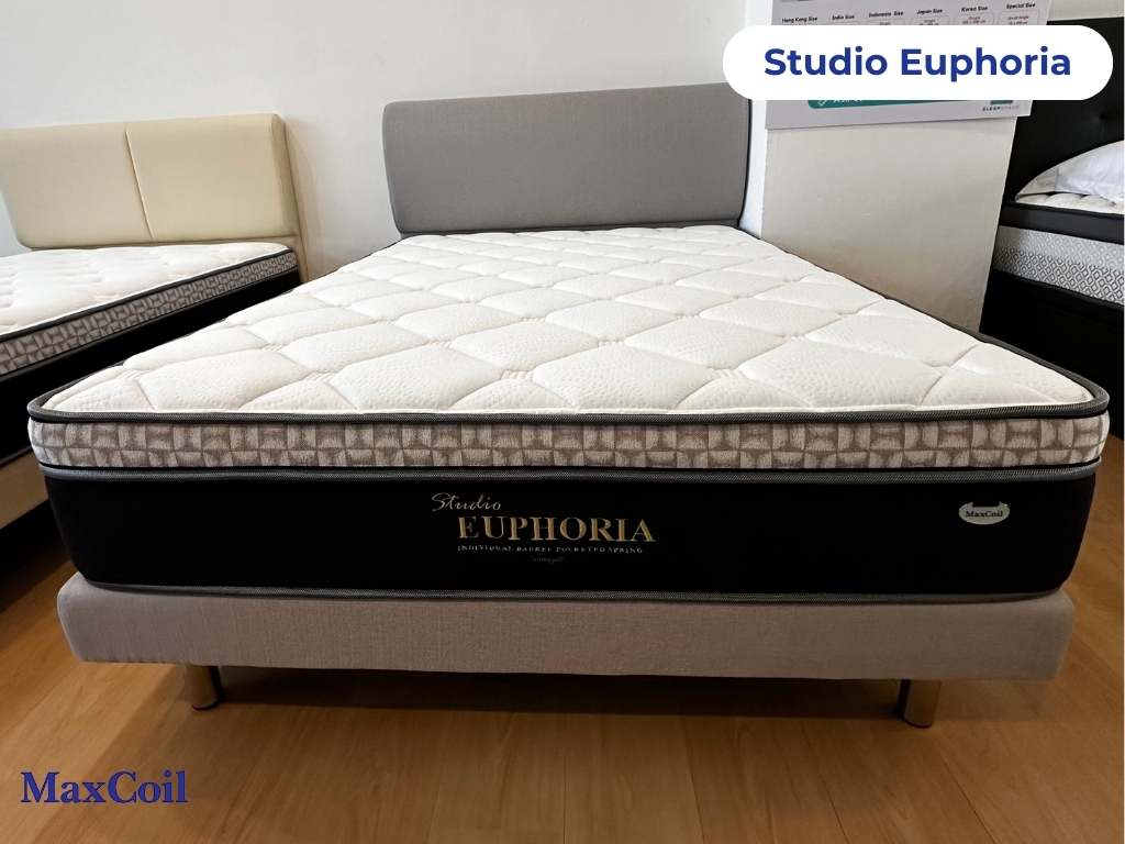 MaxCoil Studio Euphoria with Plush Euro Top Orthopedic Pocket Spring Mattress & Bed Bundle