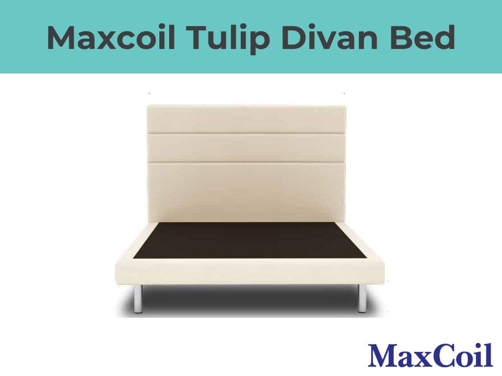 MaxCoil Summer Island Pocketed Spring Plush Euro Top Mattress & Bed Bundle-Maxcoil-Sleep Space