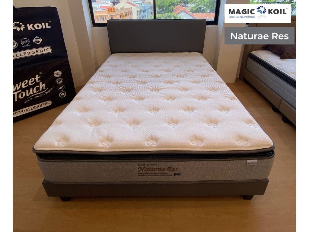 Magic Koil Naturae Res Latex Plush Top Pocket Spring Mattress-popular-Sleep Space