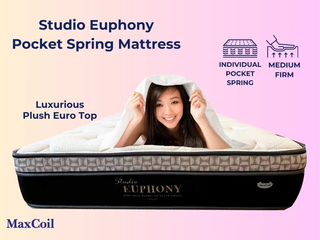 MaxCoil Studio Euphony with Plush Euro Top Pocket Spring Mattress - Popular Model!